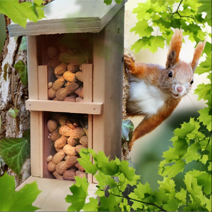 Junior Holz Junior V: Eichhörnchen-Futterhaus (im November)